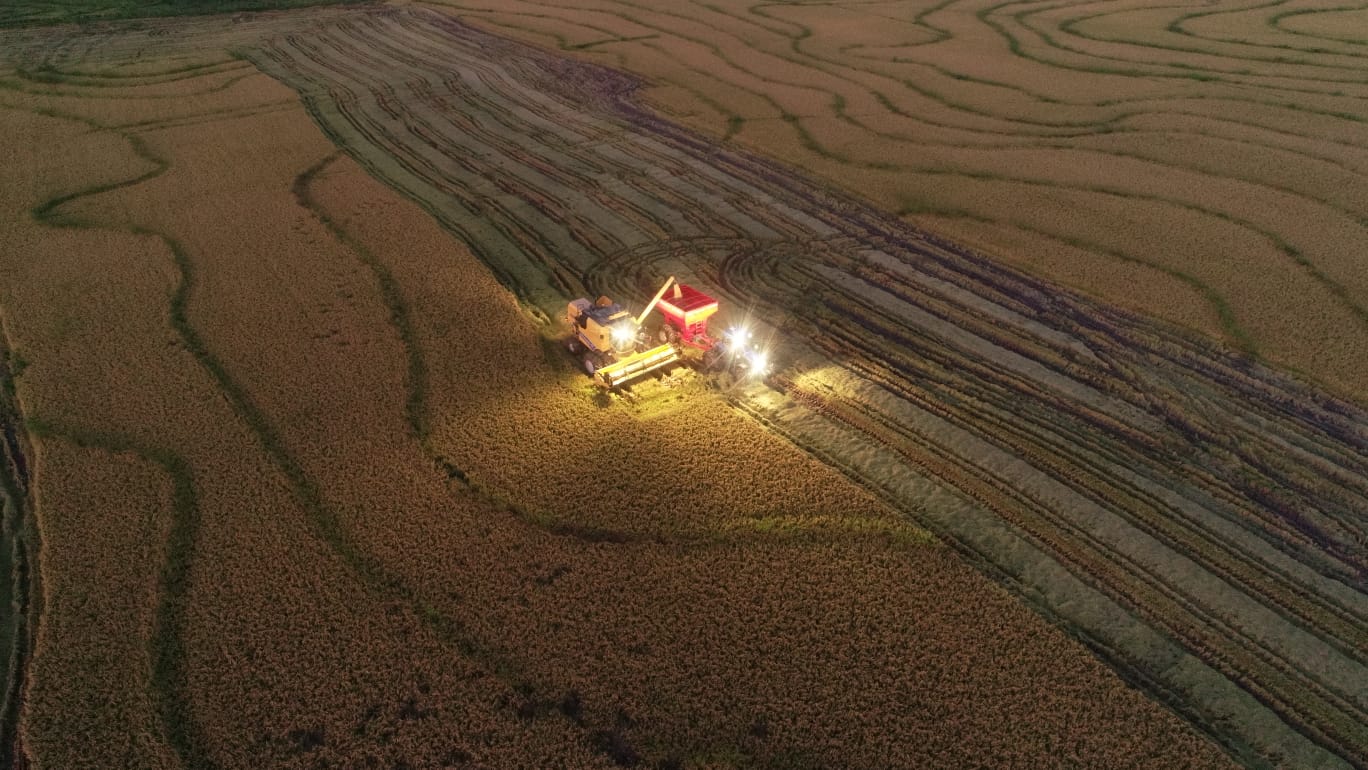 WhatsApp Image 2023-05-25 at 18.41.27.jpeg