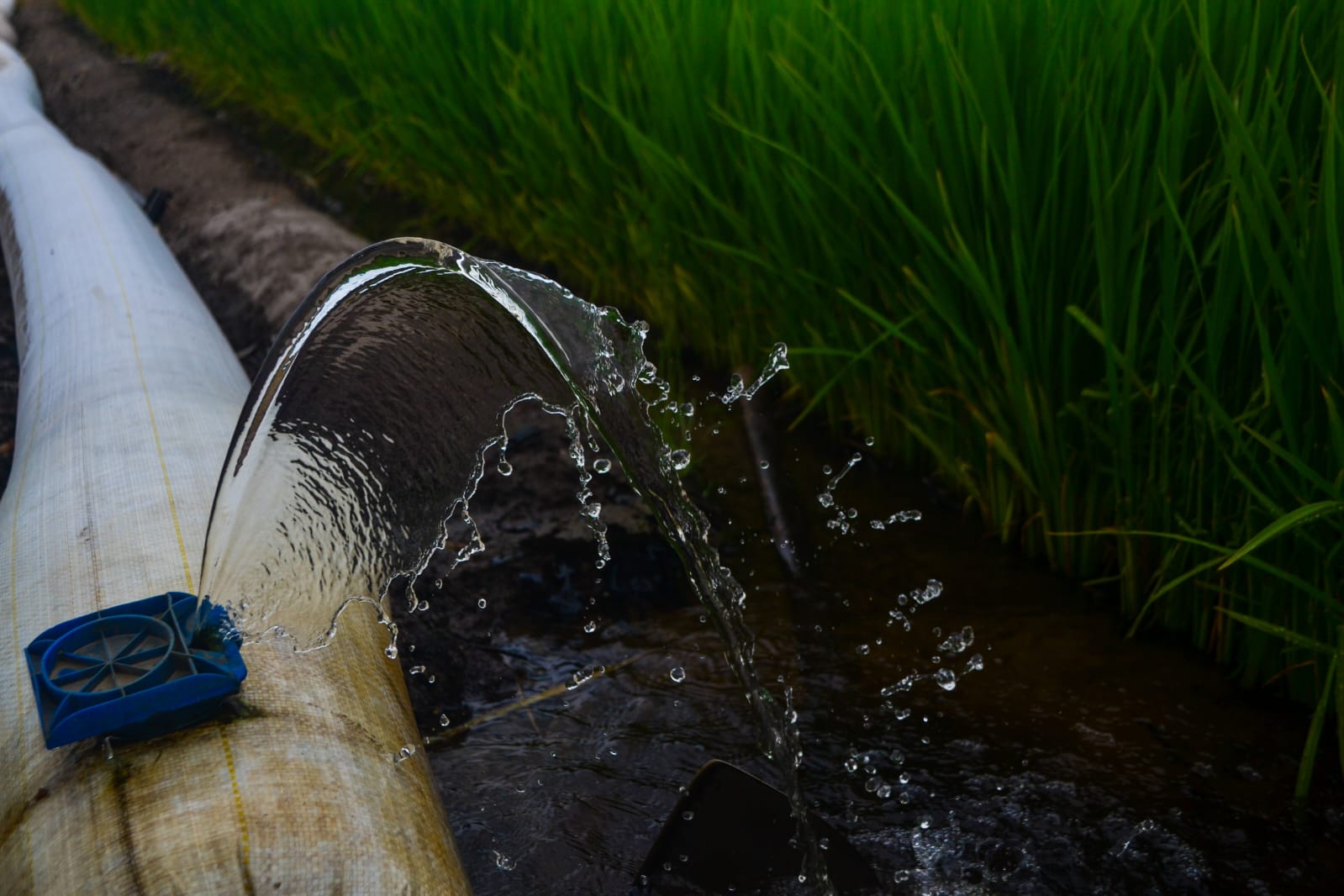 WhatsApp Image 2022-06-14 at 11.22.05.jpeg