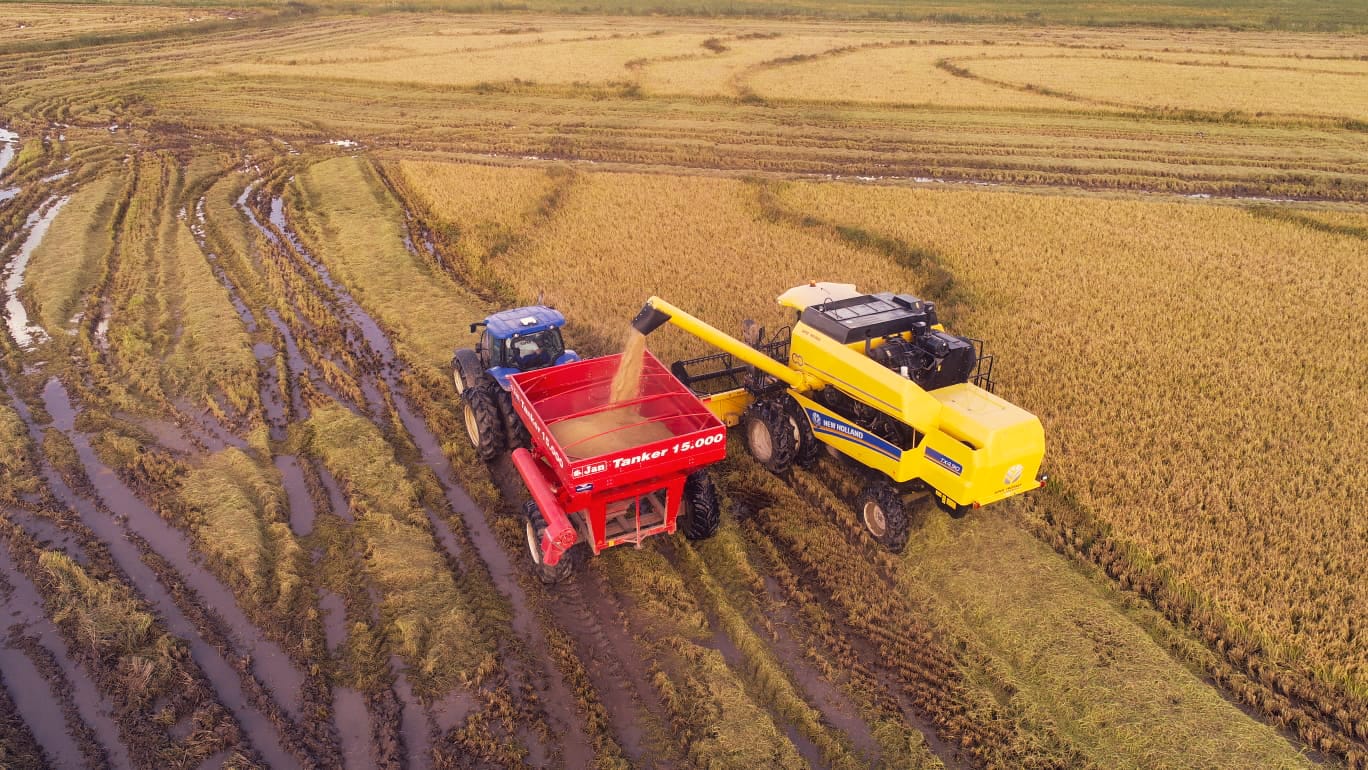 WhatsApp Image 2023-05-25 at 18.04.50 (1).jpeg