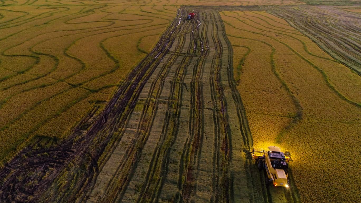 WhatsApp Image 2023-05-25 at 19.12.37.jpeg