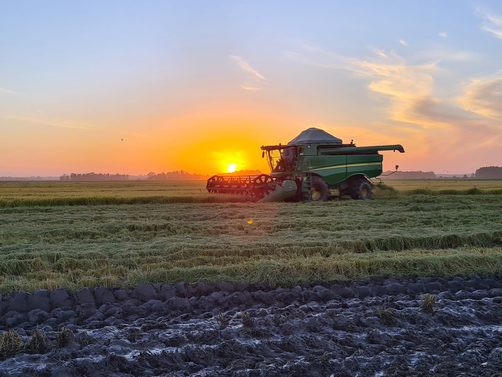 WhatsApp Image 2022-06-13 at 19.55.43 (1).jpeg