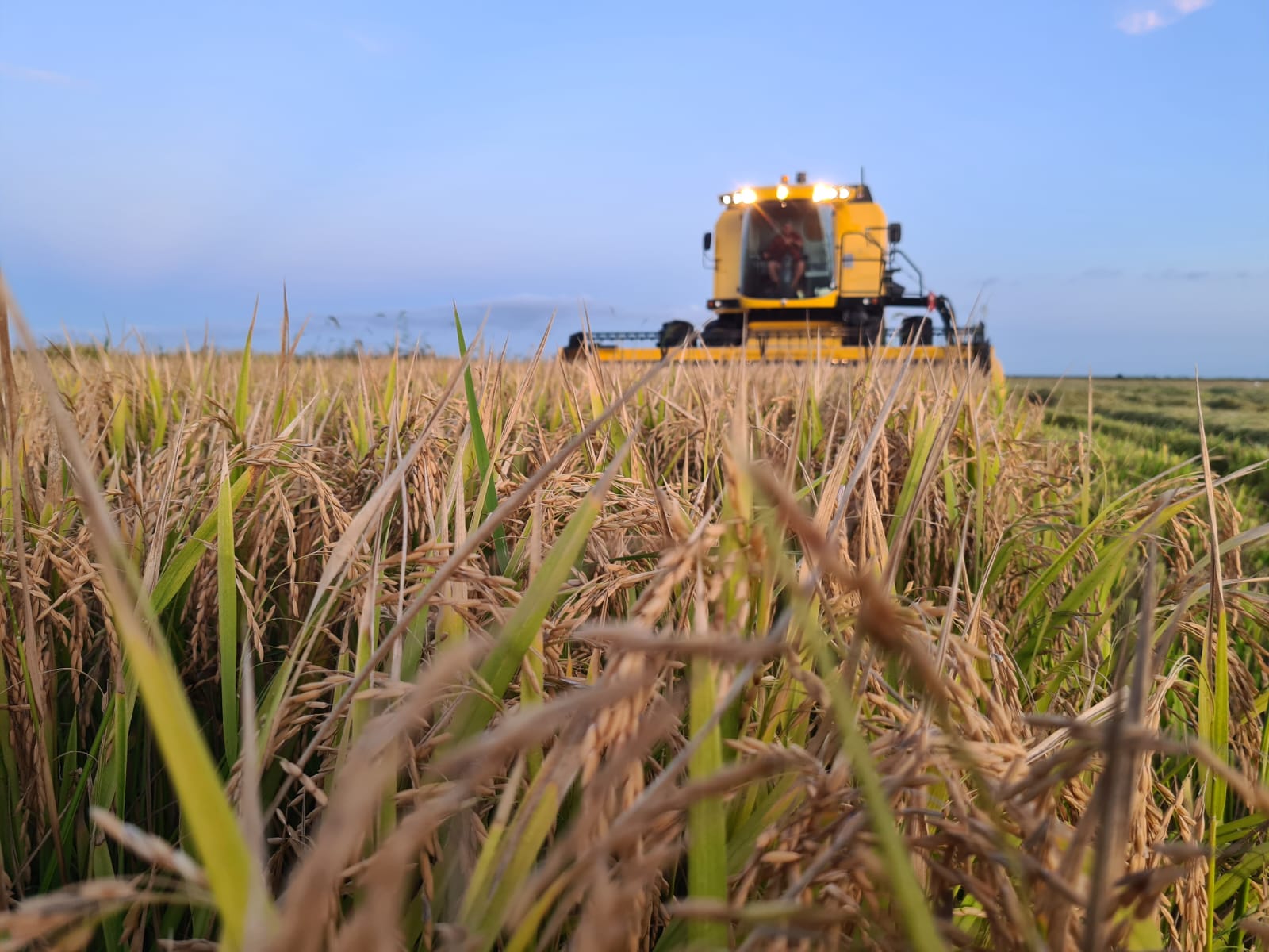 WhatsApp Image 2023-05-25 at 18.42.24.jpeg