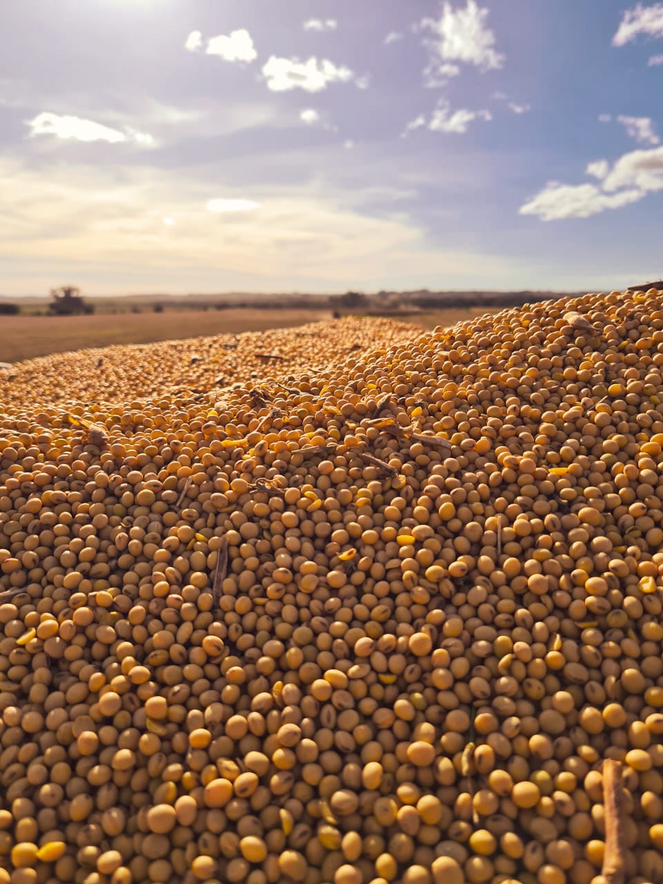 WhatsApp Image 2023-06-02 at 19.12.07.jpeg