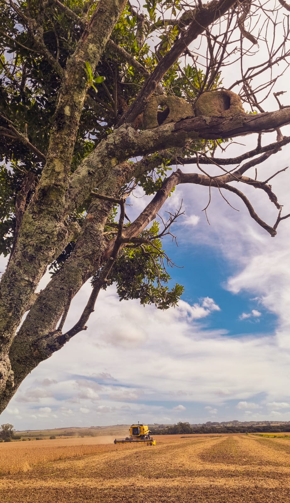 WhatsApp Image 2023-06-02 at 19.12.06.jpeg