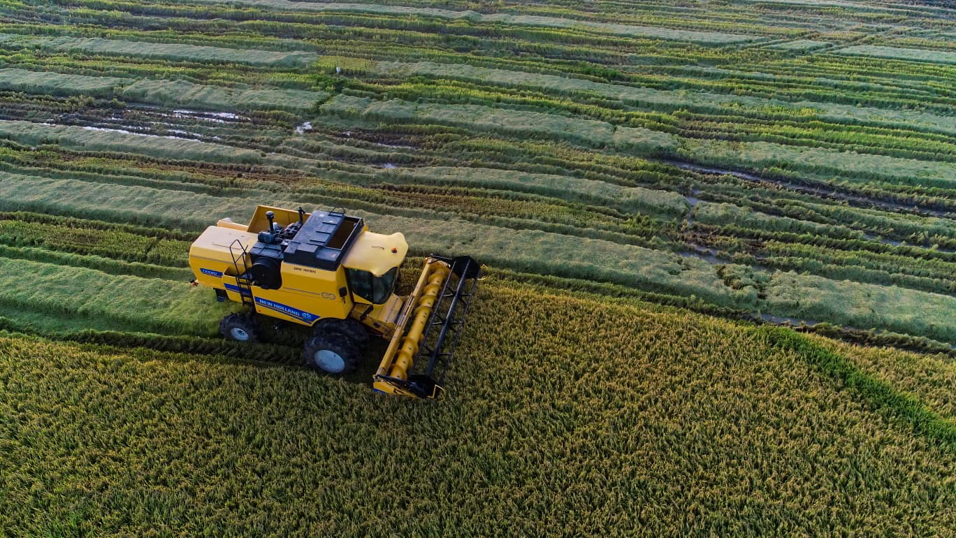 WhatsApp Image 2023-05-25 at 18.46.01.jpeg