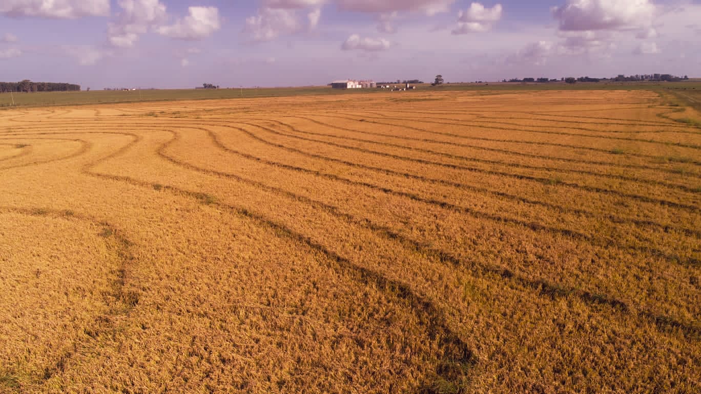 WhatsApp Image 2023-05-25 at 19.13.56.jpeg