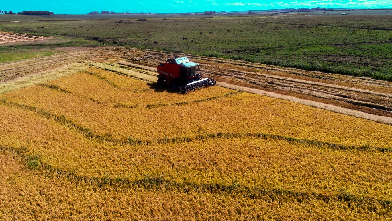 WhatsApp Image 2023-05-25 at 19.04.19.jpeg