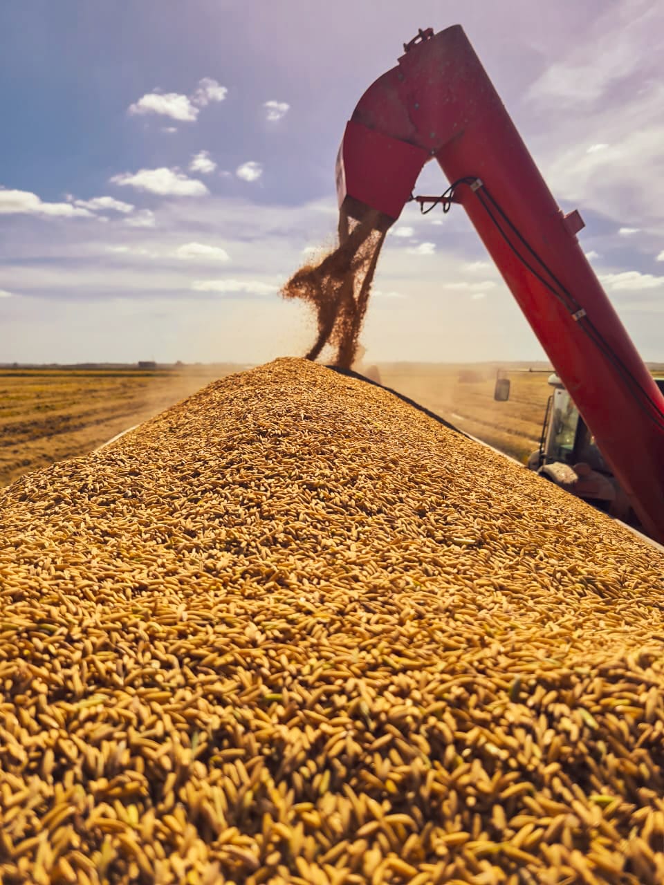 WhatsApp Image 2023-05-25 at 18.43.20.jpeg