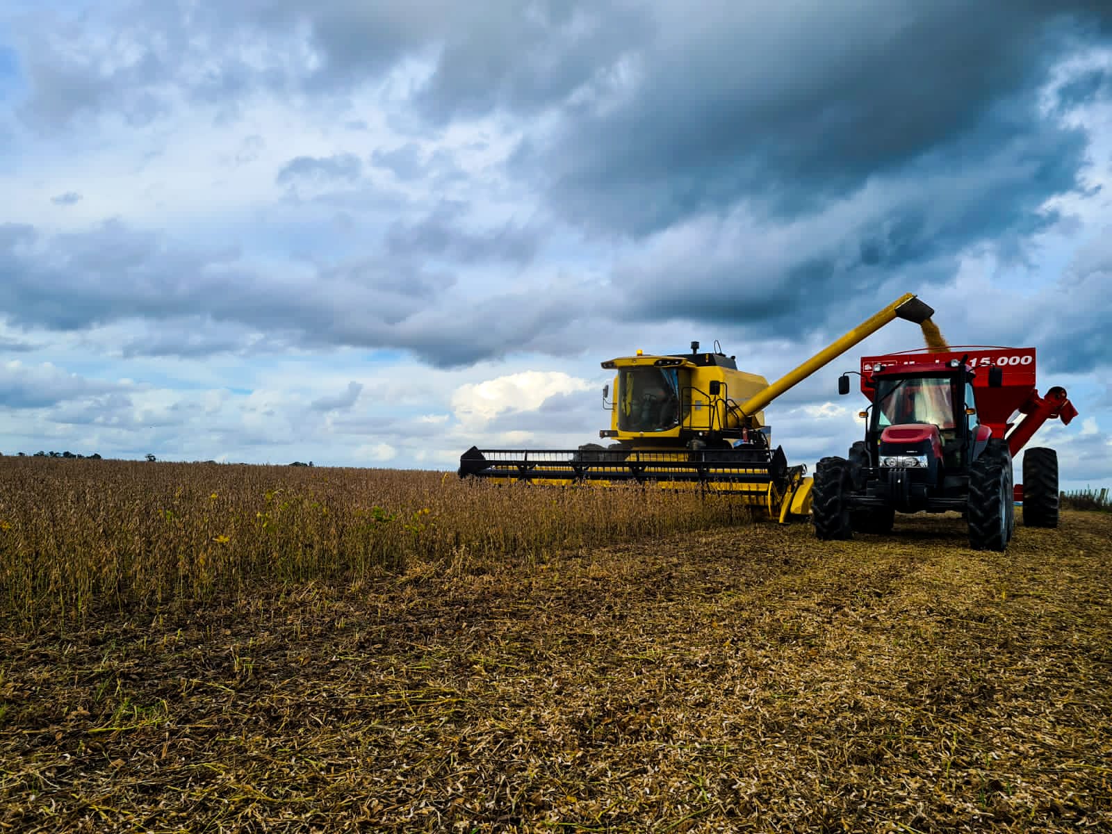 WhatsApp Image 2023-06-02 at 19.12.50.jpeg